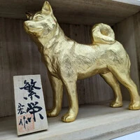 画像494