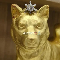 画像507