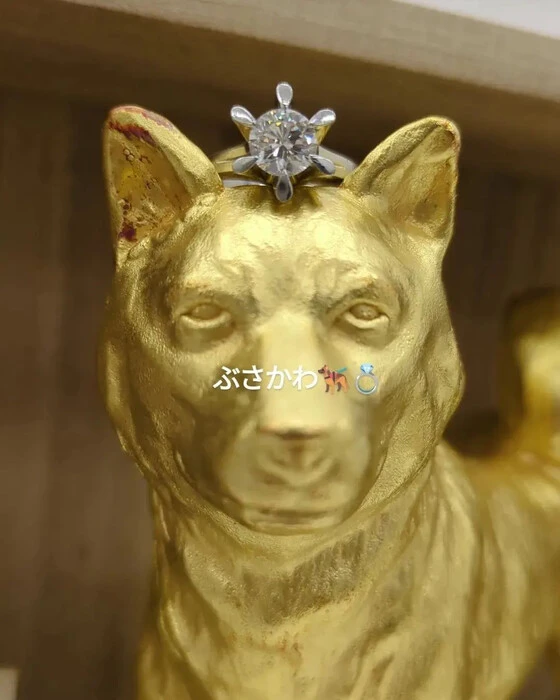 画像507